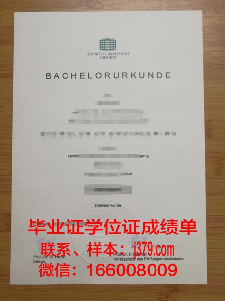 开姆尼茨工业大学毕业证图片