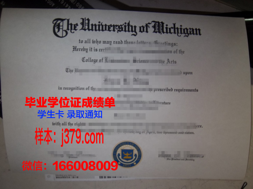 开智国际大学硕士毕业证:开启全球化视野的钥匙