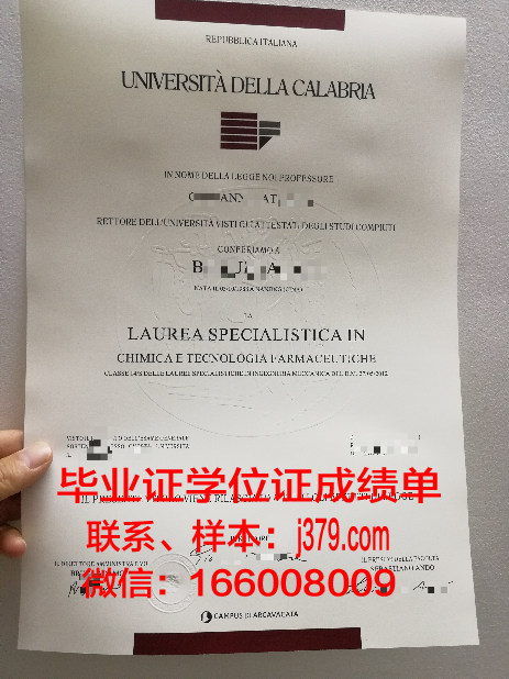 意大利欧洲设计学院毕业证图片高清(意大利设计专业留学)
