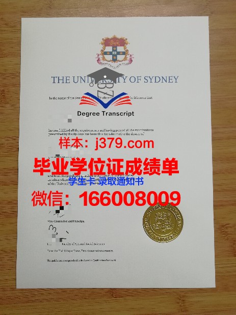 悉尼大学本科成绩单档次(悉尼大学成绩cr)