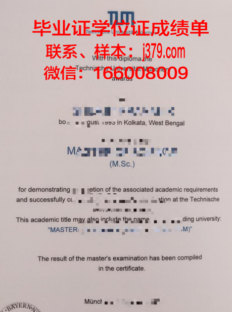 慕尼黑媒体学院毕业证尺寸(慕尼黑大学传媒)