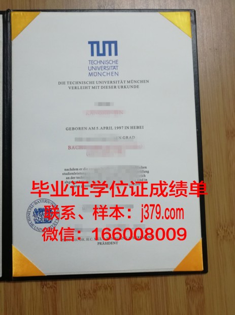 慕尼黑音乐和戏剧学院毕业证是什么样呢(慕尼黑音乐与戏剧大学学费)