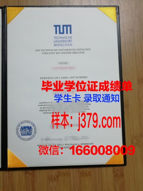 慕尼黑造型艺术学院毕业证书(慕尼黑大学艺术史)