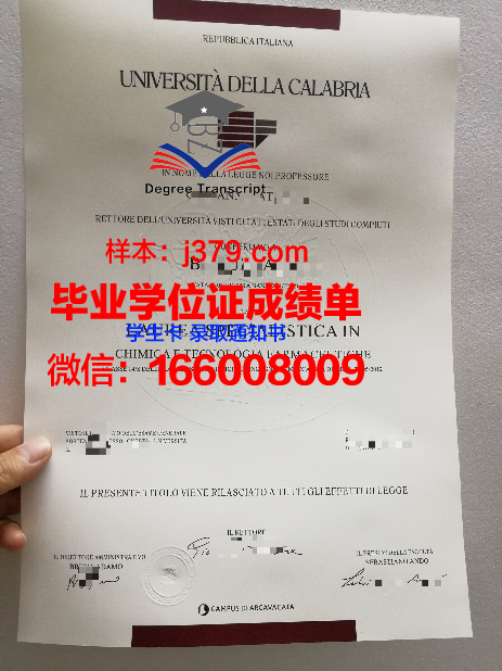意大利高校毕业证书样本(意大利高校毕业证书样本及图片)
