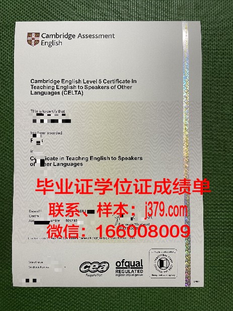 康茨坦茨大学毕业证书图片高清(康斯坦茨大学英语授课硕士)