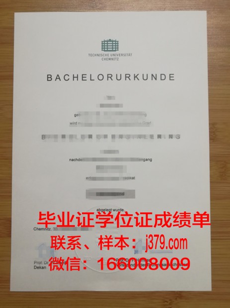 开姆尼茨工业大学硕士毕业证书样本(开姆尼茨工业大学相当于国内)