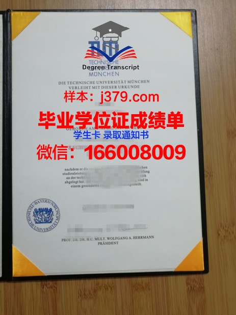 慕尼黑商学院毕业证高清图(慕尼黑大学商科)