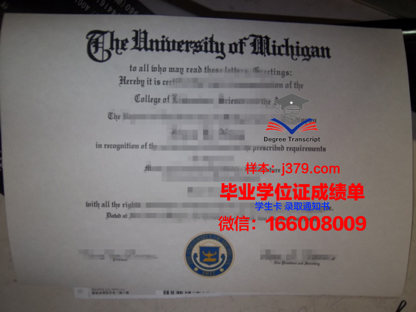 延雪平大学本科毕业证:一份跨越国界的荣耀