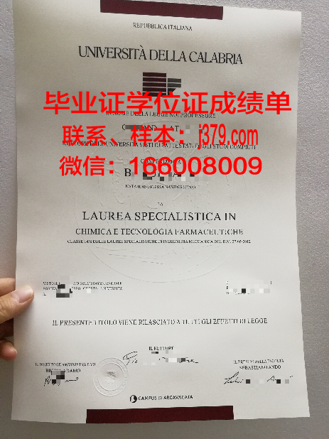 意大利学位证书拿不到(意大利学士学位)
