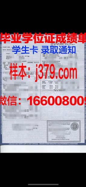 恩普成绩单:一部揭示时代变迁的励志故事
