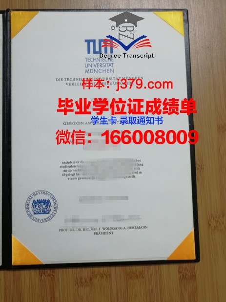 慕尼黑商学院证书成绩单(慕尼黑商学院申请条件)