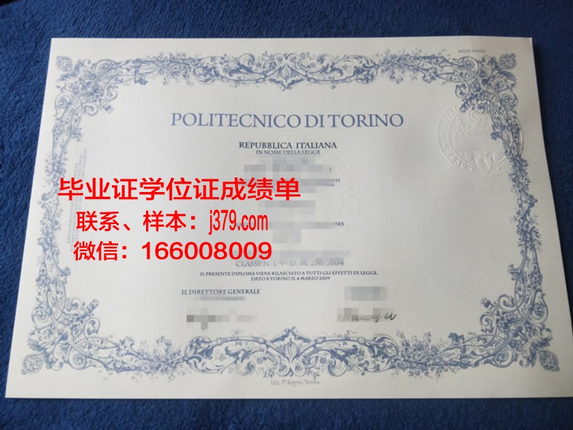 意大利都灵理工大学毕业证(意大利都灵理工大学留学)