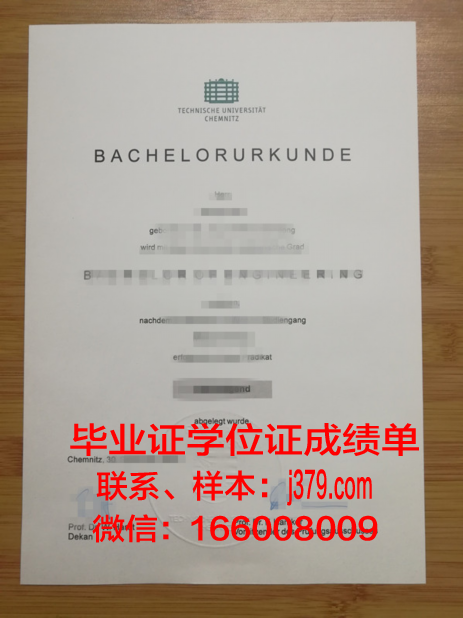 开姆尼茨工业大学毕业证图片(开姆尼茨工业大学相当于国内)