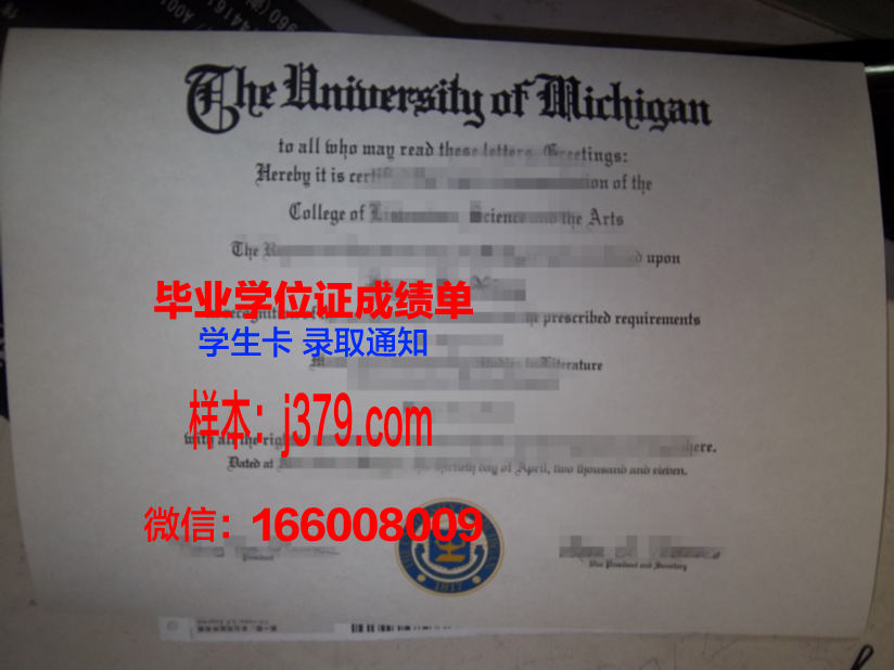戈亚斯联邦大学毕业证好找工作吗(戈亚斯州是哪国的)