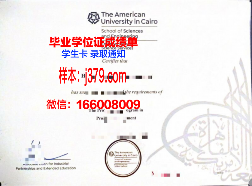 开罗美国大学毕业证展示