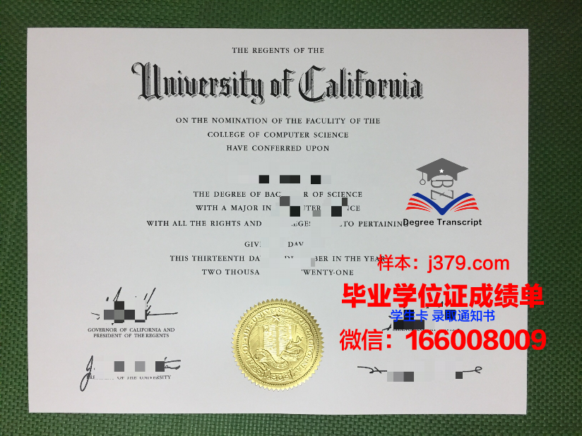 延雪平大学本科毕业证:一份跨越国界的荣耀