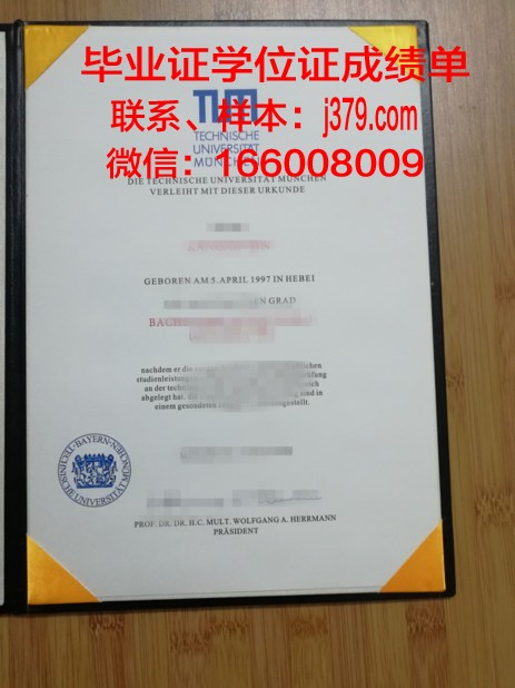 慕尼黑造型艺术学院毕业证成绩单:一份承载荣誉与梦想的证明