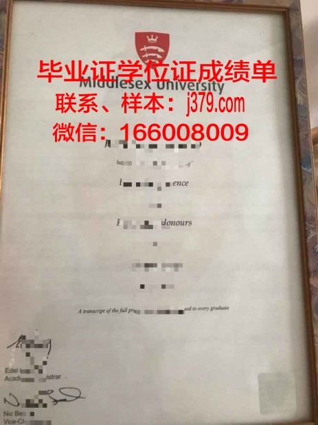 成人教育英语专业毕业证样本图片(成人高考英语专业学位证)