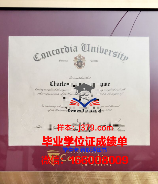 康考迪亚大学圣保罗分校几年可以毕业证(康考迪亚大学官网中文)