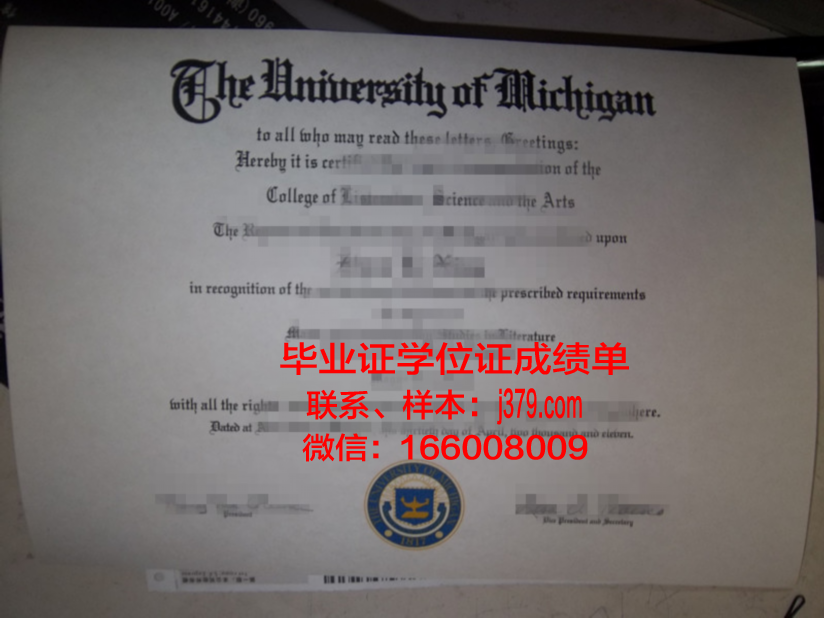 奥格斯堡大学本科毕业证:跨越时空的学术荣耀