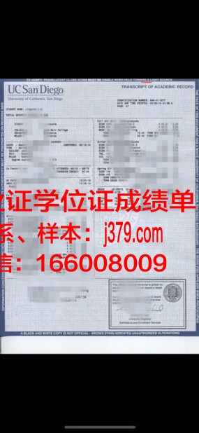 奥蒂斯艺术与设计学院学位成绩单定制:为学生提供个性化教育体验