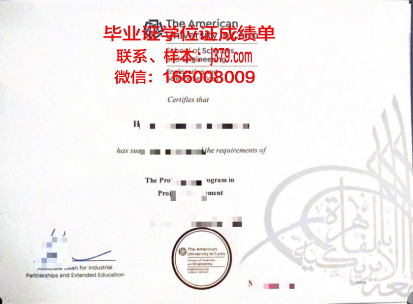 开罗大学本科毕业证(开罗大学为什么难毕业)