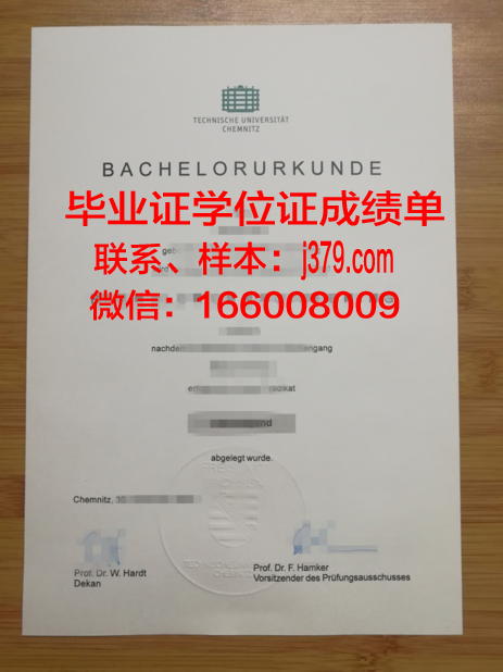 开姆尼茨工业大学毕业证书模板(开姆尼茨工业大学排名)