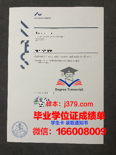 奥胡斯建筑学院毕业证案例(奥胡斯大学土木工程)