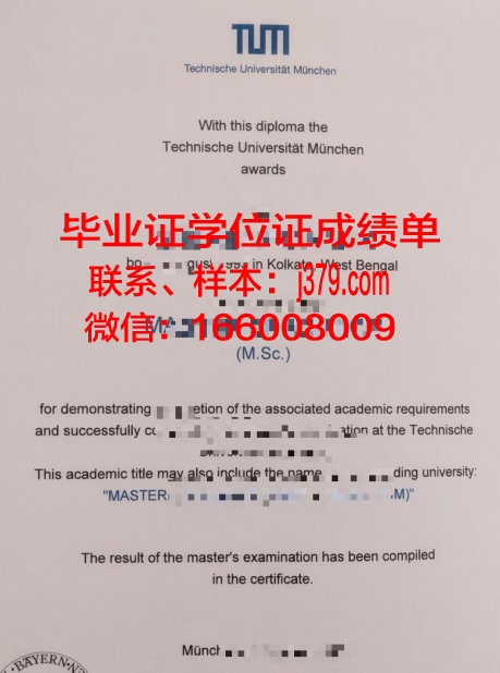 慕尼黑应用语言学院diploma证书(慕尼黑应用语言大学qs排名)