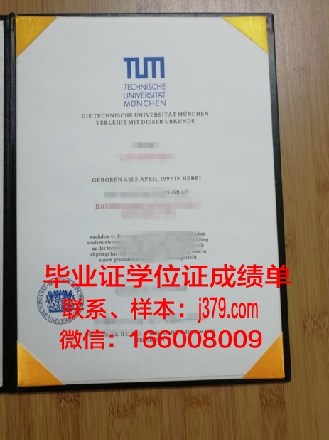 慕尼黑大学学位成绩单定制:品质与诚信的碰撞