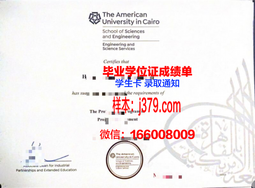 开罗大学本科毕业证(开罗大学为什么难毕业)
