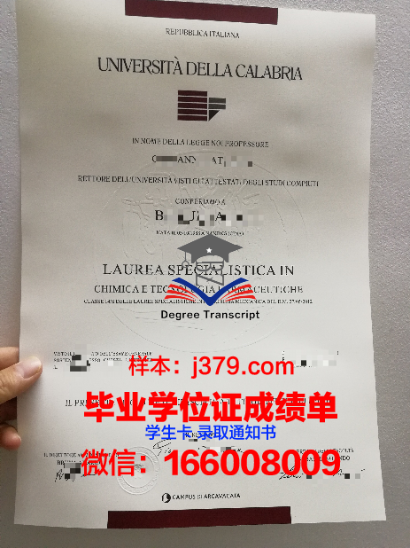 意大利大学本科毕业证(意大利学校毕业证多长时间发)