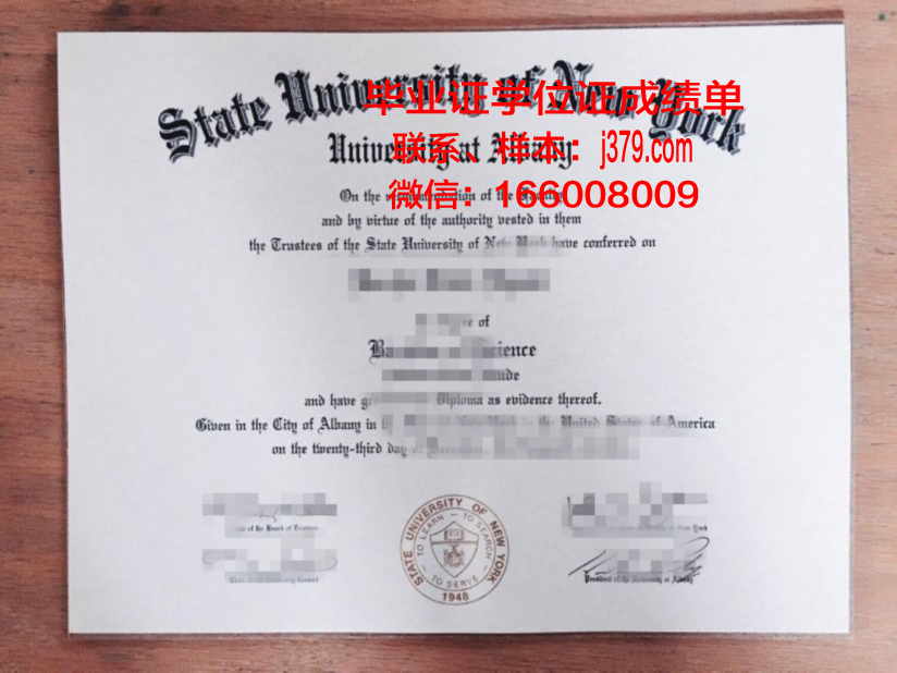 奥尔巴尼法学院毕业证是什么模样(奥尔巴尼医药与健康科学学院)