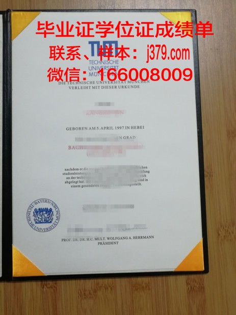 慕尼黑应用语言学院diploma证书(慕尼黑应用语言大学qs排名)
