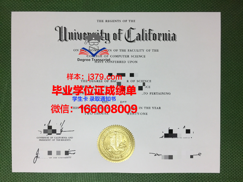 探索ITech博士毕业证背后的价值与意义